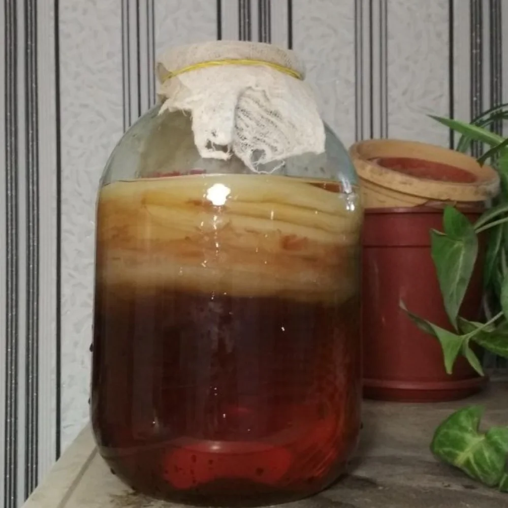 Υγιεινή διατροφή και χυμοί